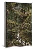 Shanklin Chine-null-Framed Photographic Print