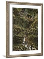 Shanklin Chine-null-Framed Photographic Print