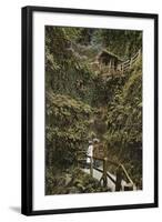 Shanklin Chine-null-Framed Photographic Print