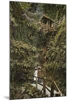Shanklin Chine-null-Mounted Photographic Print