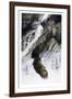 Shannon Falls Bald Eagle-Marc Barrie-Framed Collectable Print