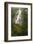 Shannon Falls Provincial Park near Squamish, British Columbia, Canada-Stuart Westmorland-Framed Photographic Print