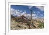 Shanti Stupa-Guido Cozzi-Framed Photographic Print