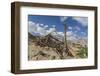 Shanti Stupa-Guido Cozzi-Framed Photographic Print