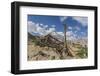 Shanti Stupa-Guido Cozzi-Framed Photographic Print