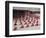 Shaolin Monastery, Shaolin, Birthplace of Kung Fu Martial Art, Henan Province, China-Kober Christian-Framed Photographic Print