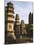Shaolin Temple, the Birthplace of Kung Fu Martial Arts, Shaolin, Henan Province, China-Kober Christian-Mounted Photographic Print