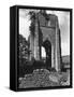 Shap Abbey-Fred Musto-Framed Stretched Canvas