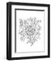 Shape Pattern 10-Neeti Goswami-Framed Art Print