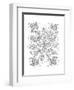 Shape Pattern 12-Neeti Goswami-Framed Art Print