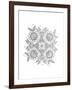 Shape Pattern 7-Neeti Goswami-Framed Art Print