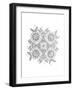 Shape Pattern 7-Neeti Goswami-Framed Art Print