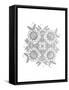 Shape Pattern 7-Neeti Goswami-Framed Stretched Canvas