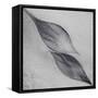 Shaped by a Creative Wind-Piet Flour-Framed Stretched Canvas