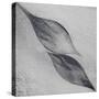 Shaped by a Creative Wind-Piet Flour-Stretched Canvas