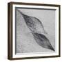 Shaped by a Creative Wind-Piet Flour-Framed Photographic Print