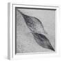 Shaped by a Creative Wind-Piet Flour-Framed Photographic Print