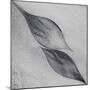 Shaped by a Creative Wind-Piet Flour-Mounted Photographic Print