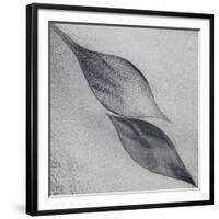 Shaped by a Creative Wind-Piet Flour-Framed Photographic Print