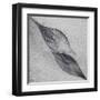 Shaped by a Creative Wind-Piet Flour-Framed Premium Photographic Print