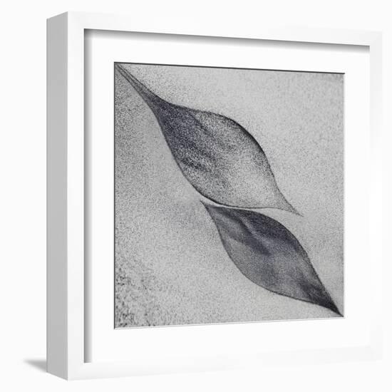 Shaped by a Creative Wind-Piet Flour-Framed Premium Photographic Print