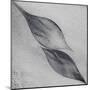 Shaped by a Creative Wind-Piet Flour-Mounted Premium Photographic Print