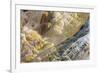 Shapes and colours formed by minerals at hotspring, Palette Spring, Yellowstone-Bill Coster-Framed Photographic Print