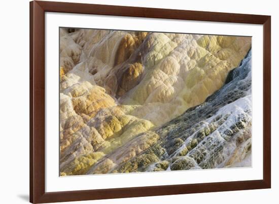 Shapes and colours formed by minerals at hotspring, Palette Spring, Yellowstone-Bill Coster-Framed Photographic Print