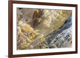 Shapes and colours formed by minerals at hotspring, Palette Spring, Yellowstone-Bill Coster-Framed Photographic Print