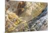 Shapes and colours formed by minerals at hotspring, Palette Spring, Yellowstone-Bill Coster-Mounted Photographic Print