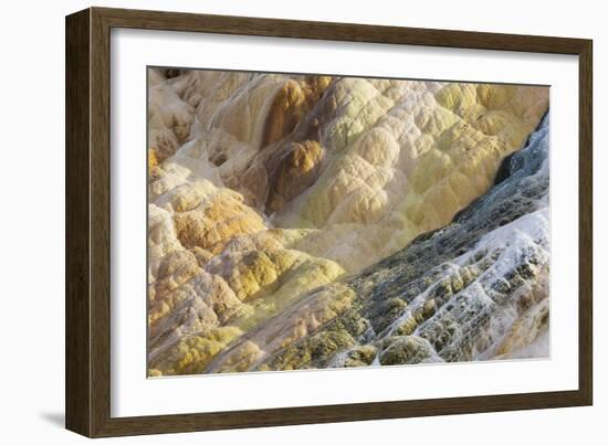 Shapes and colours formed by minerals at hotspring, Palette Spring, Yellowstone-Bill Coster-Framed Photographic Print