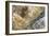 Shapes and colours formed by minerals at hotspring, Palette Spring, Yellowstone-Bill Coster-Framed Photographic Print