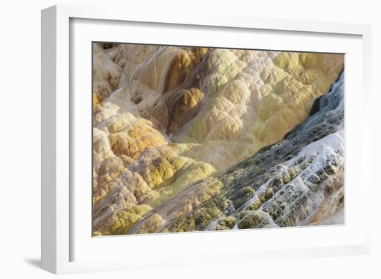 Shapes and colours formed by minerals at hotspring, Palette Spring, Yellowstone-Bill Coster-Framed Photographic Print