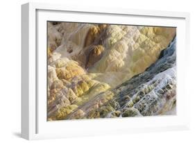 Shapes and colours formed by minerals at hotspring, Palette Spring, Yellowstone-Bill Coster-Framed Photographic Print