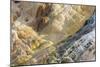 Shapes and colours formed by minerals at hotspring, Palette Spring, Yellowstone-Bill Coster-Mounted Photographic Print
