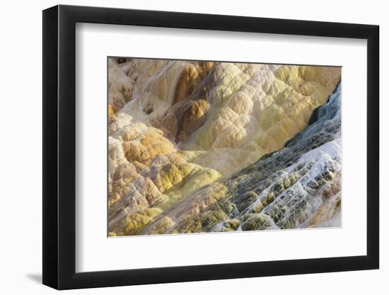 Shapes and colours formed by minerals at hotspring, Palette Spring, Yellowstone-Bill Coster-Framed Photographic Print