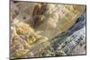 Shapes and colours formed by minerals at hotspring, Palette Spring, Yellowstone-Bill Coster-Mounted Photographic Print