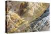 Shapes and colours formed by minerals at hotspring, Palette Spring, Yellowstone-Bill Coster-Stretched Canvas
