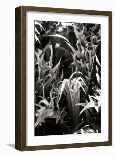 Shapes and Shadows IV-Alan Hausenflock-Framed Photographic Print