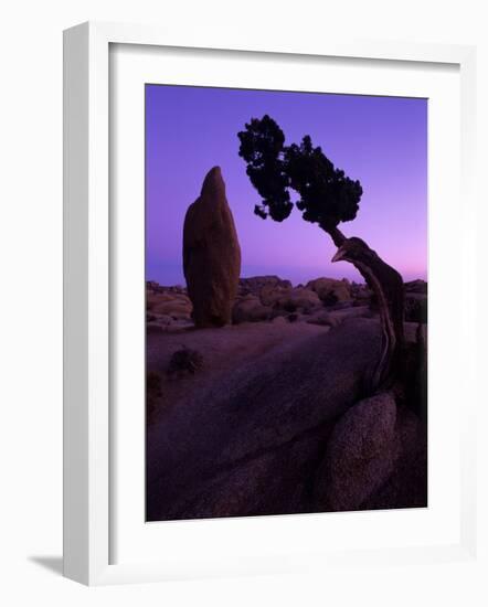 Shapes and Textures in the Mojave Desert, California, USA-Jerry Ginsberg-Framed Photographic Print