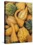 Shapes and Textures of Squash at Halloween, Acton, Massachusetts, USA-Merrill Images-Stretched Canvas