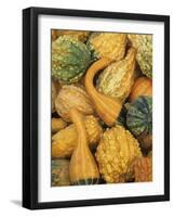 Shapes and Textures of Squash at Halloween, Acton, Massachusetts, USA-Merrill Images-Framed Photographic Print