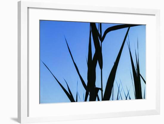 Shapes Black On Blue-Anthony Paladino-Framed Giclee Print