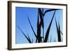 Shapes Black On Blue-Anthony Paladino-Framed Giclee Print