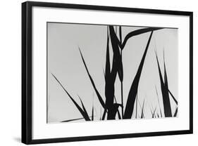 Shapes Black On White-Anthony Paladino-Framed Giclee Print