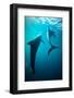 Shapes of water-Serge Melesan-Framed Photographic Print