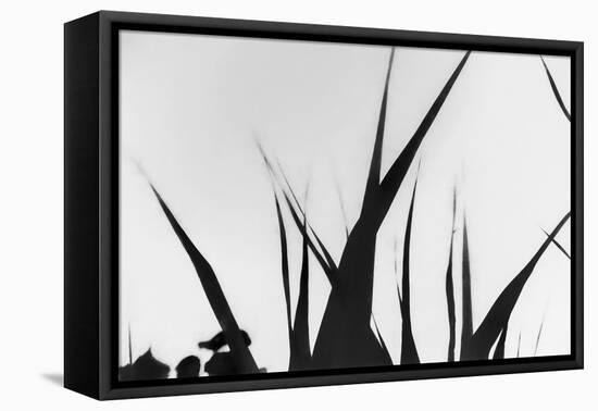 Shapes White On Black Blurred-Anthony Paladino-Framed Stretched Canvas