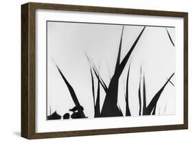 Shapes White On Black Blurred-Anthony Paladino-Framed Giclee Print