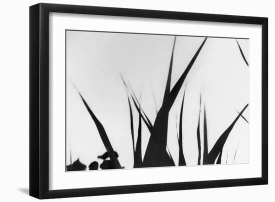 Shapes White On Black Blurred-Anthony Paladino-Framed Giclee Print