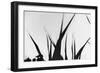Shapes White On Black Blurred-Anthony Paladino-Framed Giclee Print